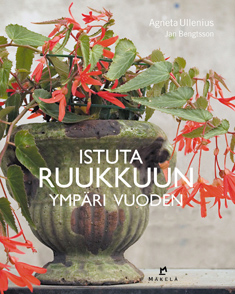 Istuta ruukkuun ympäri vuoden