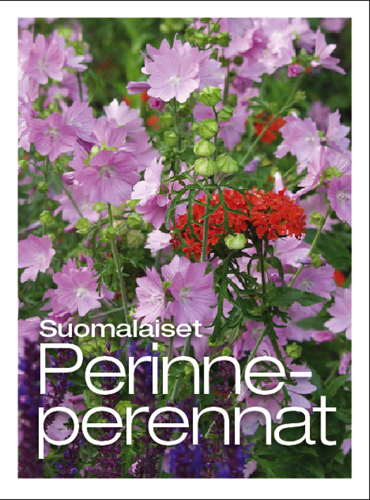 Suomalaiset perinneperennat