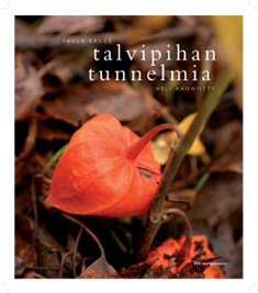 Talvipihan tunnelmia