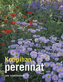 Kotipihan perennat