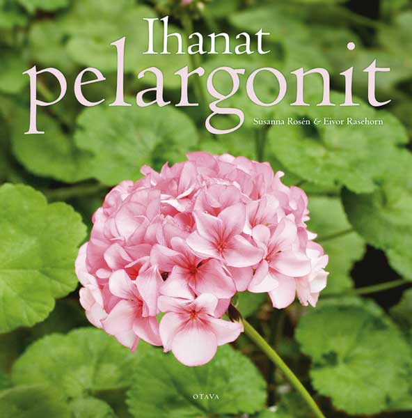 Ihanat pelargonit