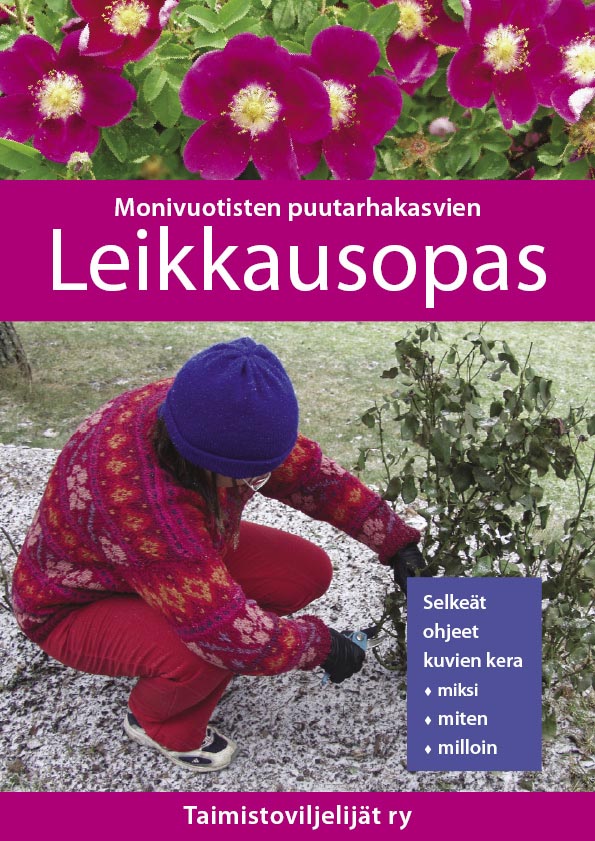 Leikkausopas