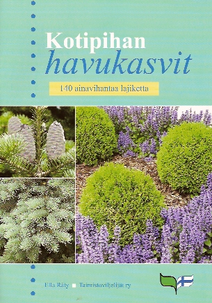 Kotipihan havukasvit